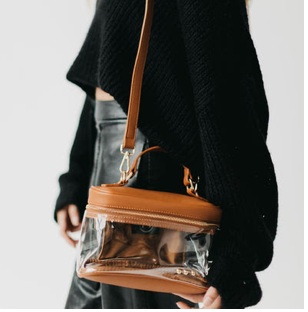 ✨ Carissa Clear Crossbody